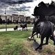 Image for article titled 44 Of The Best Smartphone Photos You Can Take